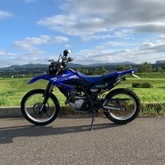 格安で売ります‼️ヤマハ wr155r   現金一括払いのみ　多...