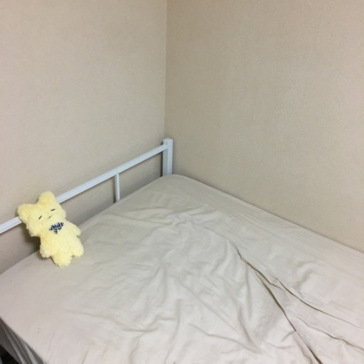 ベット