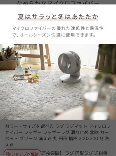 年内処分予定　ホットカーペット対応ラグ