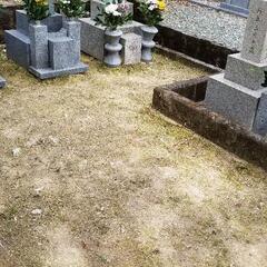 庭木剪定サービス千樹園高知店です！年中無休にて見積りお伺い致します！剪定、草刈り、伐採他お庭に関する事お気軽にお問い合わせください。高知市、春野町、香南市、南国市、香美市、土佐市立、他お気軽にお問い合わせください。TEL　0888742287迄お願い致します！ - 便利屋
