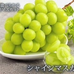 🌈第652回本日開催！【現26名】現在、参加者募集中です！9/24(土)午後20時〜大型企画！限定シャインマスカット食べ放題！3時間飲み放題付き！チーズダッカルビやチャミスル飲み放題！メインは女性限定シャインマスカット食べ放題イベント開催！【はや会イベント】 - 仙台市