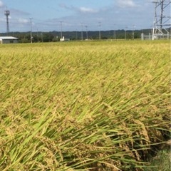 ★販売開始　令和6年産米　ヒノヒカリ　玄米　30kg 入