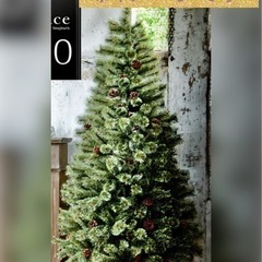 クリスマスツリー🎄と電飾💡