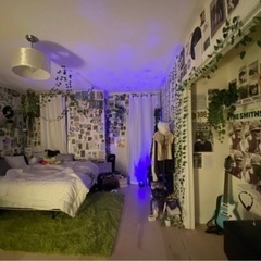 格安仮暮らし】本気で、凄いお部屋ばかりです。 - 墨田区