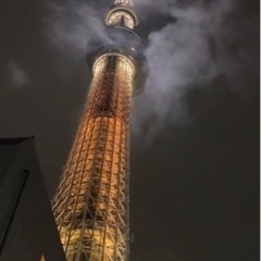 格安仮暮らし】本気で、凄いお部屋ばかりです。 - 不動産