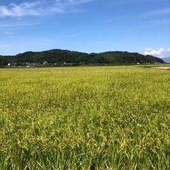 白米10キロ（新米の夢つくし）