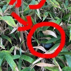 【第4回】地元の近所をゴミ拾いしようやー(略称:ジモキン)、やり...