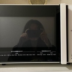 日立電子レンジ東日本