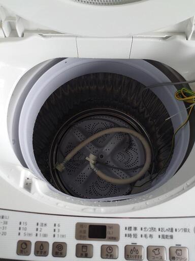 6【2019年製】6.0kg SHARP(シャープ) 洗濯機