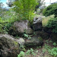 庭石
