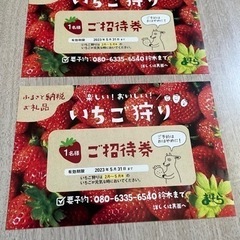 いちご狩り大人2枚ありますが1枚の料金です。いちご狩り入園料金大...
