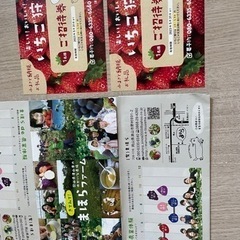 いちご狩り大人2枚ありますが1枚の料金です。いちご狩り入園料金大人1800円3歳から子供は900円。の画像