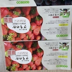 いちご狩り大人2枚ありますが1枚の料金です。いちご狩り入園料金大人1800円3歳から子供は900円。の画像