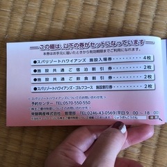 ハワイアンズ 優待券 4枚セットの画像