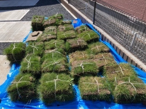 芝生　全部持っていってくれる方