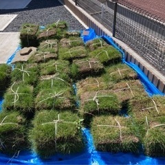 芝生　全部持っていってくれる方