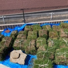 芝生　全部持っていってくれる方の画像