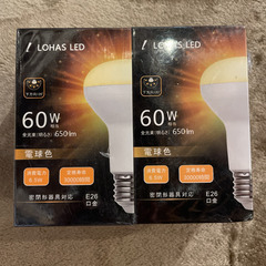 LOHAS LED電球　2個セットの画像