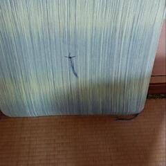 夏物の座布団２枚　東京西川の画像