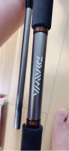 ショワジキングセット　ロッド、リール、ルアー青物　タチウオなど