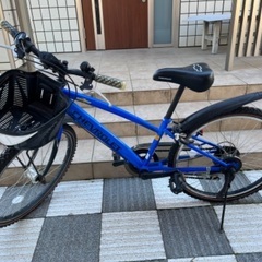 24インチ