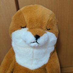 【取引中】大型ぬいぐるみ　くったりカワウソハグミー