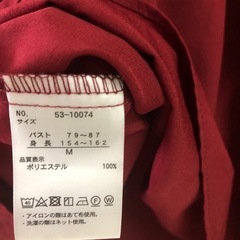 レディーストップスＭの画像