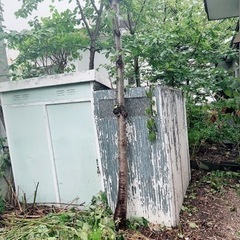 決まりました。金属の倉庫を無料で引き取って頂けませんか？