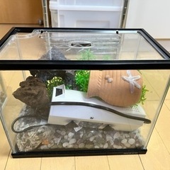 小型水槽セットの画像