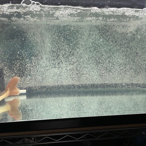 90cm水槽用　爆泡　エアレーション