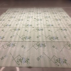 お引き合いがないので粗大ゴミにしました。