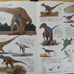 小学館の図鑑 NEO  おおむかしの生物の画像