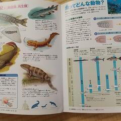 小学館の図鑑 NEO  おおむかしの生物の画像