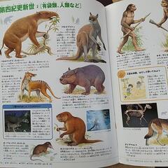小学館の図鑑 NEO  おおむかしの生物の画像