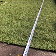 リアル人工芝の画像