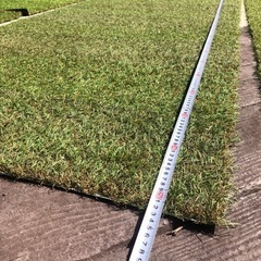 リアル人工芝の画像