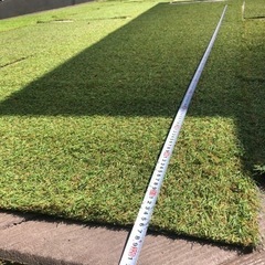 リアル人工芝の画像