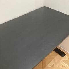 flexispot スタンディングデスク 天板 ブラック
