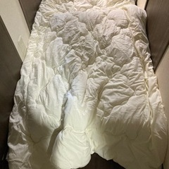 ニトリ　掛け布団の画像