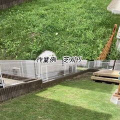 成田市近辺でお安いところをお探しでしたらぜひ！ - 剪定/造園