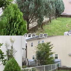 成田市近辺でお安いところをお探しでしたらぜひ！ − 千葉県