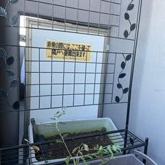 フェンス付のフラワースタンドの画像