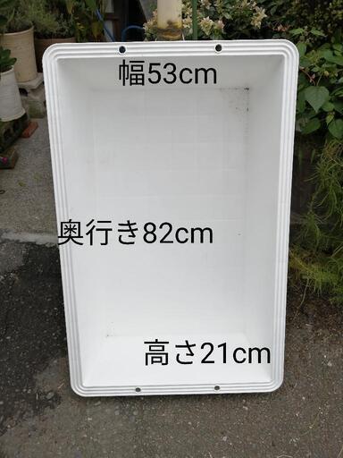 お値下げ　トロ舟　白　60L　メダカ飼育　新品未使用