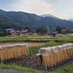 白川郷