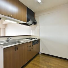 🔶初期費用0円（家主負担）🔶最後1部屋 / 3LDK / オートロック / エレベーター / 新規リフォーム済 / エアコン / 1階 / コンビニ徒歩3分 / バストイレ別 − 岐阜県