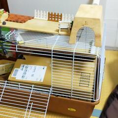 ハリネズミの飼育セット1式
