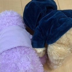 テディベア　くま　ぬいぐるみセット　海外　おもちゃの画像