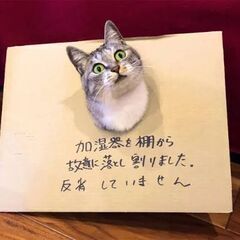田代島行きませんか？