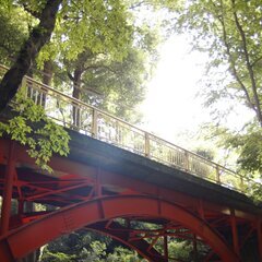 10/1(土)高幡不動尊で撮影散歩！ - その他