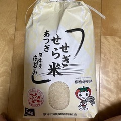 新米 厚木産 はるみ 5kg